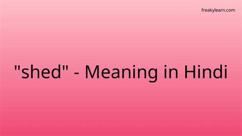 shed light meaning in hindi